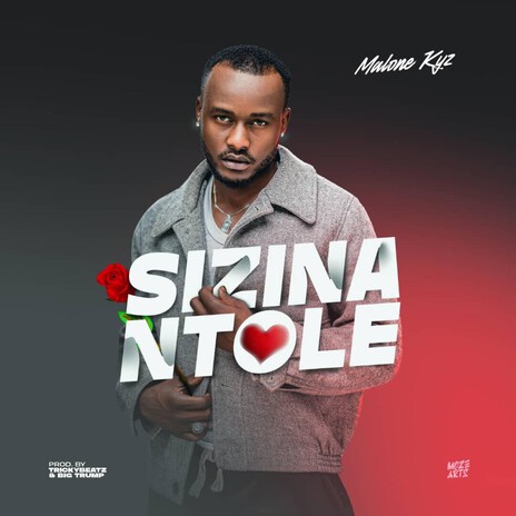 Sizinantole artwork
