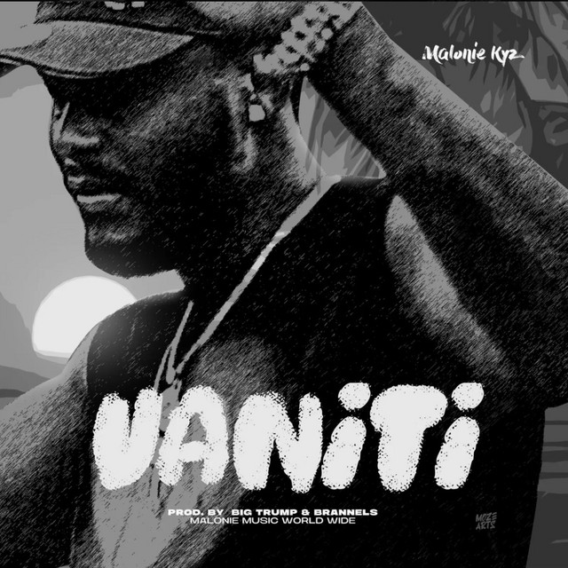 Vaniti artwork